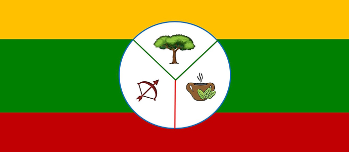 Flag of Wargandí with yellow, green and red horizontal bands and a central circular emblem featuring a tree, bow and arrow, and traditional vessel with leaves.